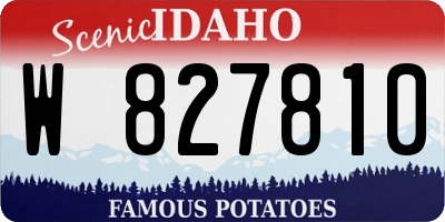 ID license plate W827810