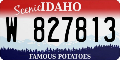 ID license plate W827813