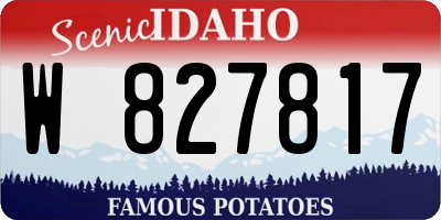 ID license plate W827817