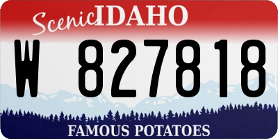 ID license plate W827818