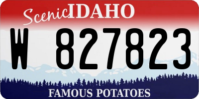 ID license plate W827823