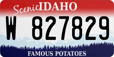 ID license plate W827829