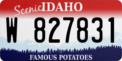 ID license plate W827831