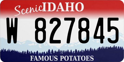 ID license plate W827845