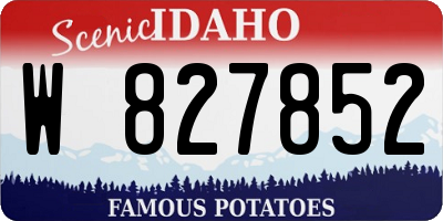 ID license plate W827852