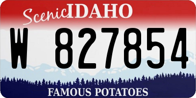 ID license plate W827854