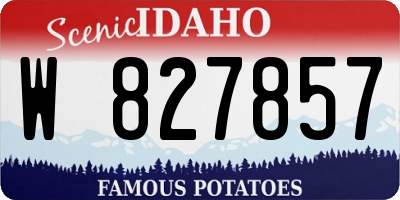 ID license plate W827857