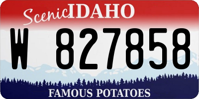 ID license plate W827858