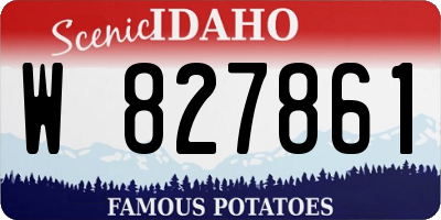 ID license plate W827861