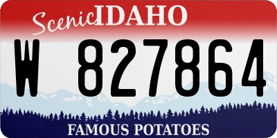 ID license plate W827864