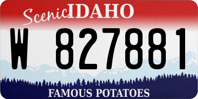 ID license plate W827881