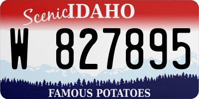 ID license plate W827895