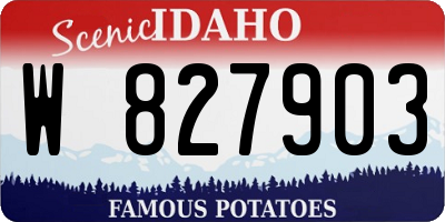 ID license plate W827903