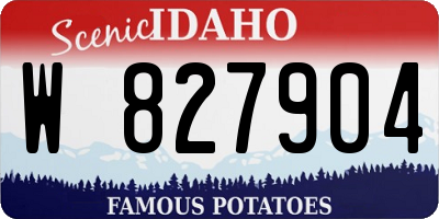 ID license plate W827904