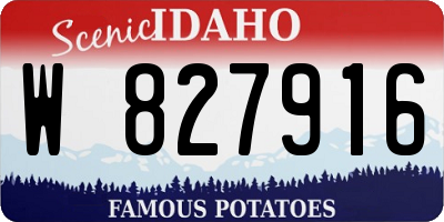 ID license plate W827916