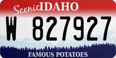 ID license plate W827927