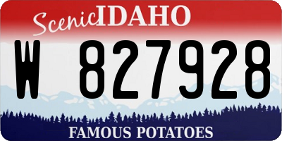 ID license plate W827928