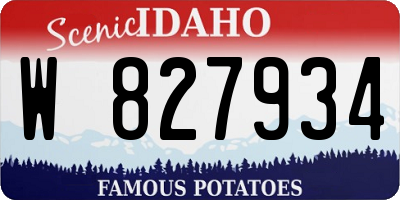 ID license plate W827934