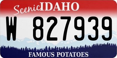 ID license plate W827939