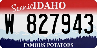 ID license plate W827943