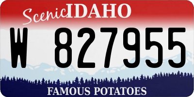 ID license plate W827955