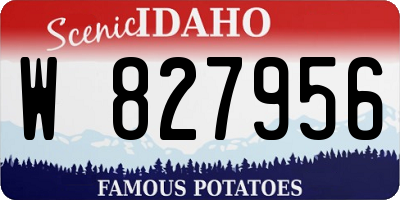 ID license plate W827956