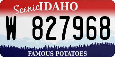 ID license plate W827968