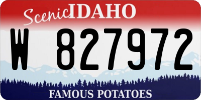 ID license plate W827972