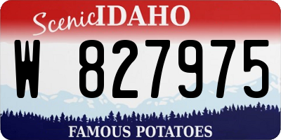 ID license plate W827975