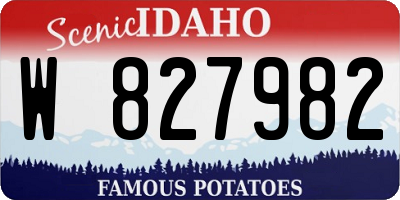 ID license plate W827982