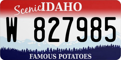 ID license plate W827985