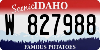 ID license plate W827988