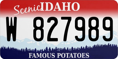 ID license plate W827989