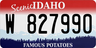 ID license plate W827990
