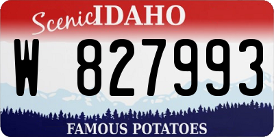 ID license plate W827993