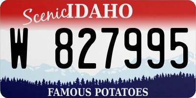 ID license plate W827995