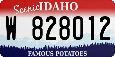 ID license plate W828012