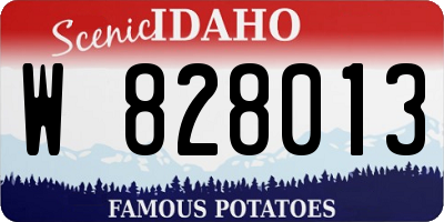 ID license plate W828013