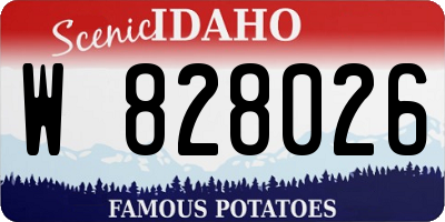 ID license plate W828026