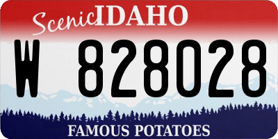ID license plate W828028