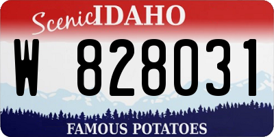 ID license plate W828031