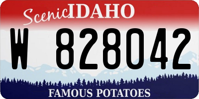 ID license plate W828042