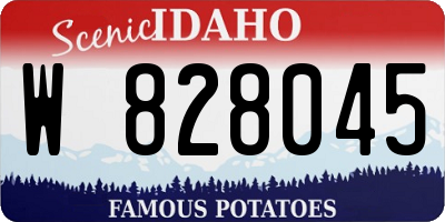 ID license plate W828045