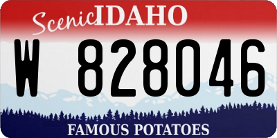 ID license plate W828046