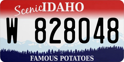 ID license plate W828048