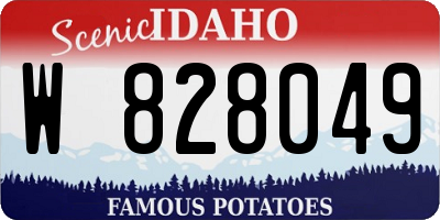 ID license plate W828049
