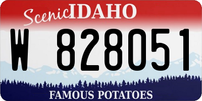 ID license plate W828051