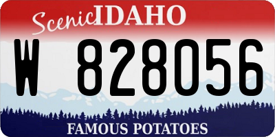 ID license plate W828056