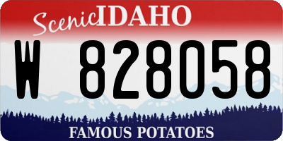 ID license plate W828058