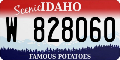 ID license plate W828060